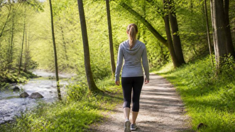 Die gesundheitlichen Vorteile von Spaziergängen in der Natur: Wie Bewegung im Grünen Körper und Geist stärkt